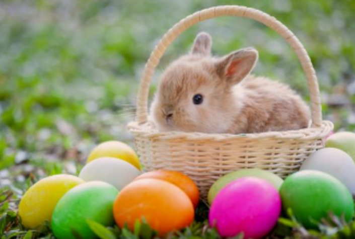 Ostermarkt Pferdezentrum Stadl-Paura
