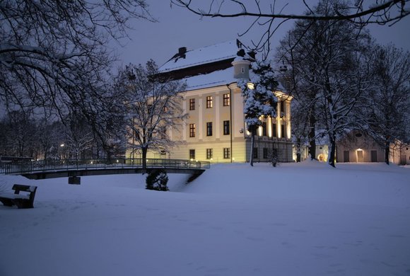 Weihnachtsmarkt im Schloss Traun