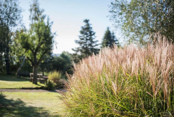 Bio-Heilkräutergarten Klaffer am Hochficht