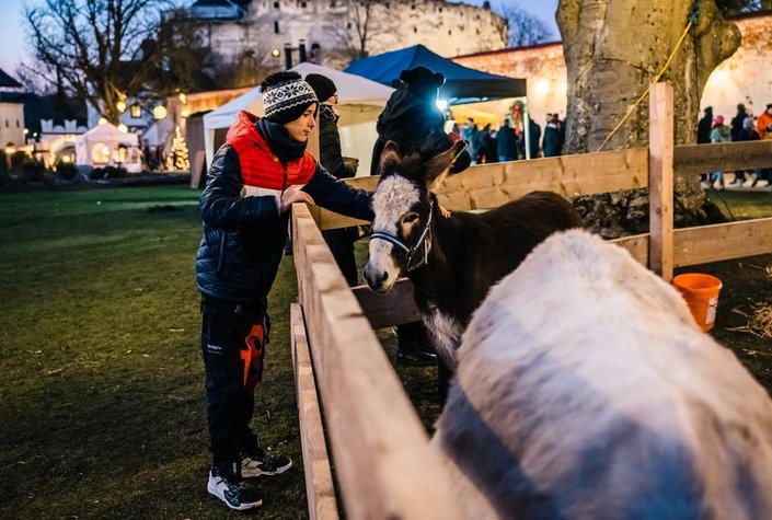 Christkindlmarkt auf der Schallaburg
