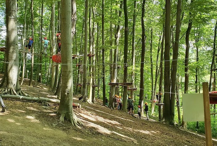 Kletterpark Purkersdorf