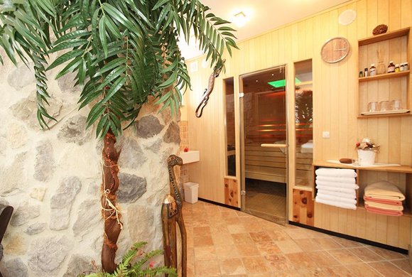 Steiner´s Wellness-Appartements