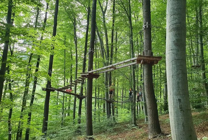 Kletterpark Purkersdorf