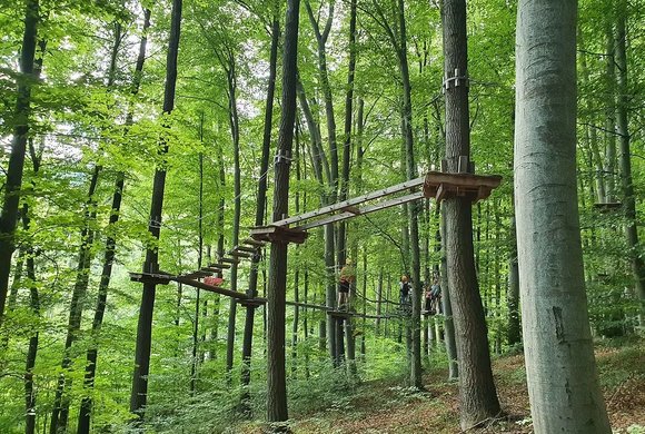 Kletterpark Purkersdorf