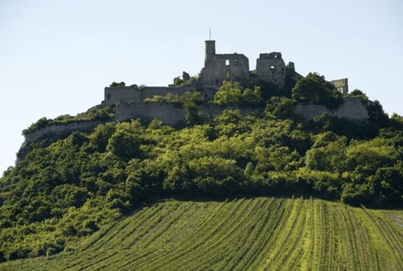 Burgruine Falkenstein