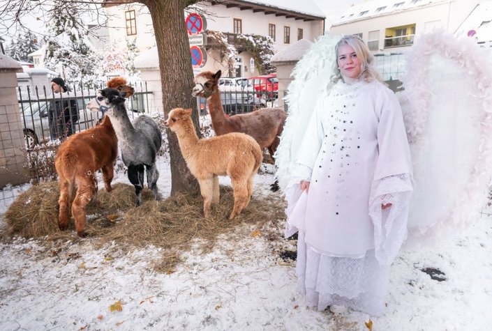 Barocker Christkindlmarkt Stockerau
