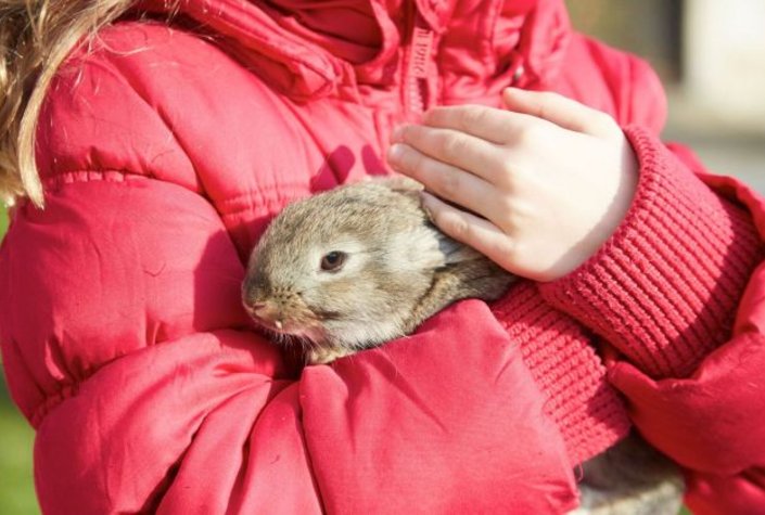 Ostermarkt Schloss Rosenburg