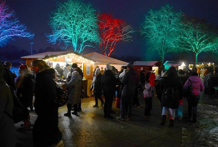 Advent am Neufelder See