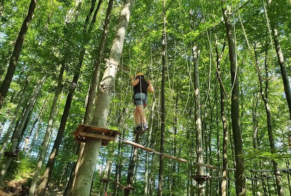 Kletterpark Purkersdorf