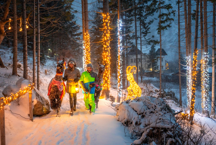 Mallnitzer Bergadvent
