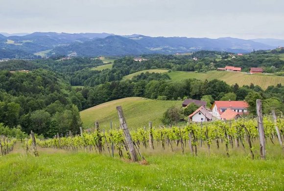 Weingut Resch