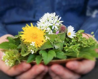 Bist du bereit, neue Wege zu beschreiten, die mehr Sinn und Freude in...