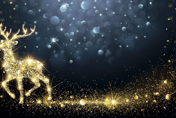 Advent- & Lichterzauber - Domäne Lilienberg