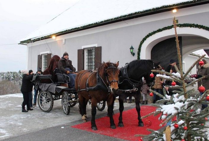 Advent auf Schloss Tabor