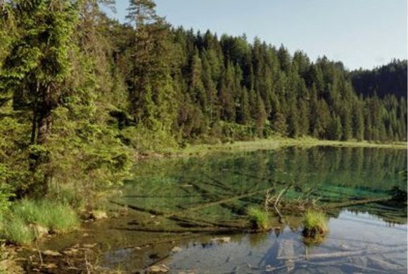 Ferienwohnung Wolfsberg