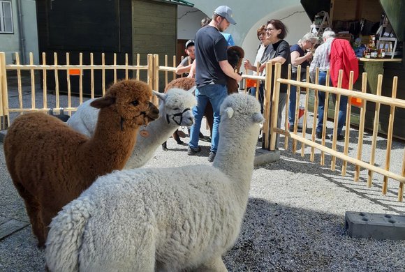 Ostermarkt im Schloss Reichenau