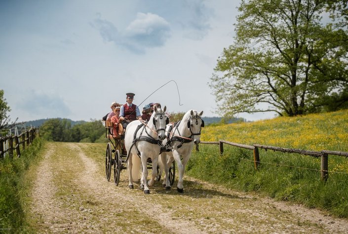 Lipizzanergestüt Piber