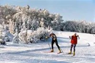 Wald, Wasser, Felsen und ein Wechselspiel aus Licht und Schatten...