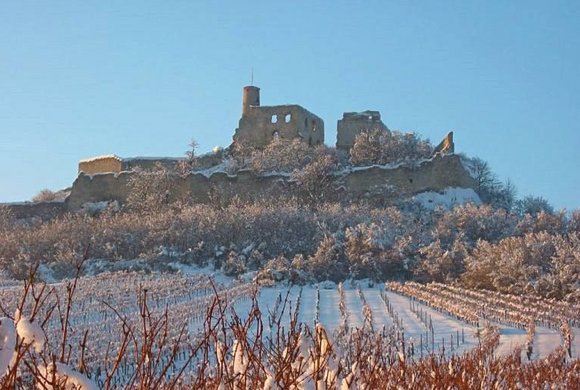 Burgruine Falkenstein