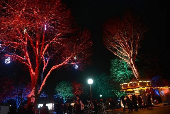 Advent am Neufelder See