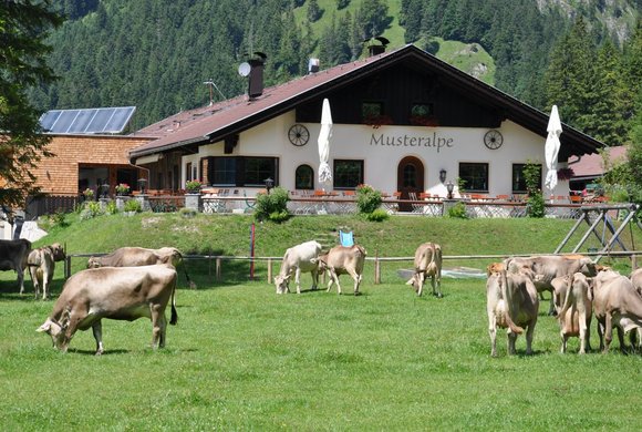 Camping Plansee Tirol