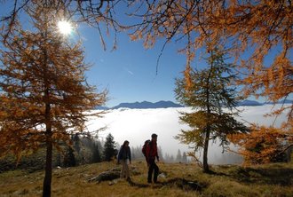 Kräuter und Wildpflanzen spielen im Kräuterdorf Irschen eine lange...