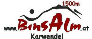 Binsalm